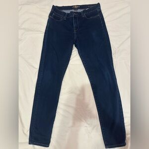 Lucky Brand Blue Skinny Jeans